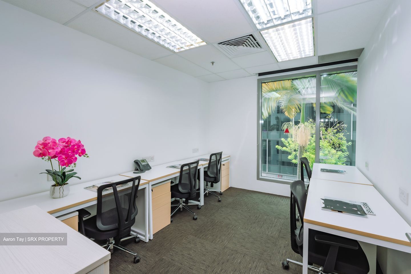 Crasco Building (D7), Office #552880721